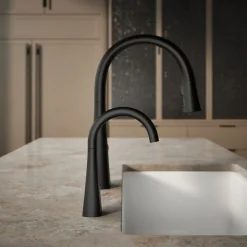 Beverage faucet