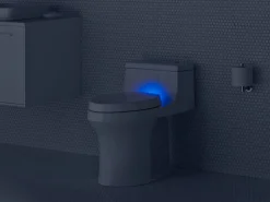 Deodorizing elongated toilet seat