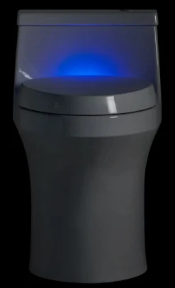Deodorizing elongated toilet seat