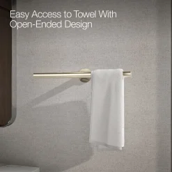 Double towel arm