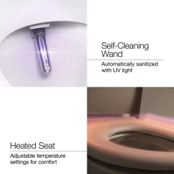 Dual-Wand Elongated bidet toilet seat with remote control