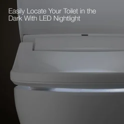 Dual-Wand Elongated bidet toilet seat with remote control
