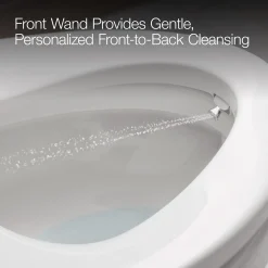 Dual-Wand Elongated bidet toilet seat with remote control