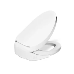 Dual-Wand Elongated bidet toilet seat with remote control