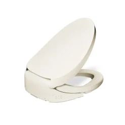 Dual-Wand Elongated bidet toilet seat with remote control