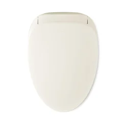 Dual-Wand Elongated bidet toilet seat with remote control