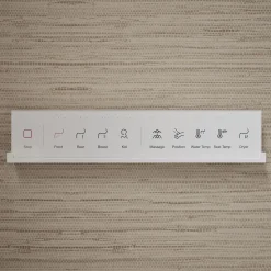 Dual-Wand Elongated bidet toilet seat with remote control