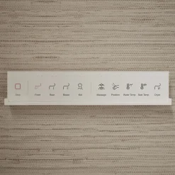 Dual-Wand Elongated bidet toilet seat with remote control