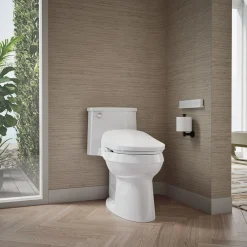 Dual-Wand Elongated bidet toilet seat with remote control