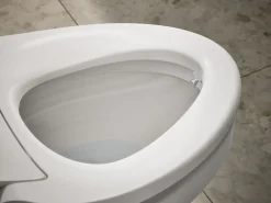 Dual-Wand Elongated bidet toilet seat with remote control