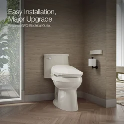 Dual-Wand Elongated bidet toilet seat with remote control