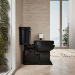 Elevated Quiet-Close™ elongated toilet seat