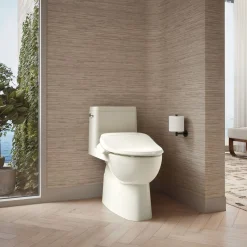 Elongated bidet toilet seat