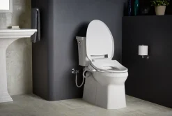 Elongated bidet toilet seat