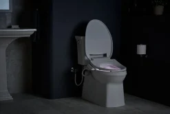 Elongated bidet toilet seat