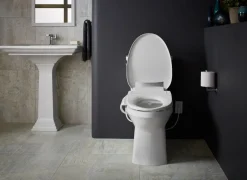 Elongated bidet toilet seat
