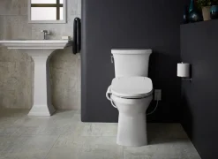 Elongated bidet toilet seat