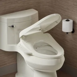 Elongated bidet toilet seat