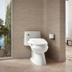 Elongated bidet toilet seat