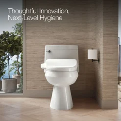 Elongated bidet toilet seat