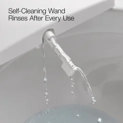 Elongated bidet toilet seat