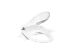 Elongated bidet toilet seat