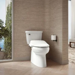 Elongated bidet toilet seat