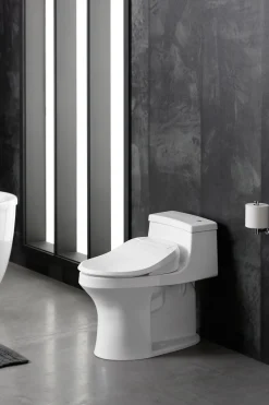 Elongated bidet toilet seat