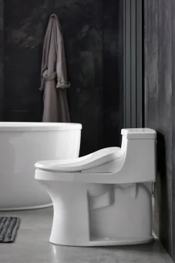 Elongated bidet toilet seat
