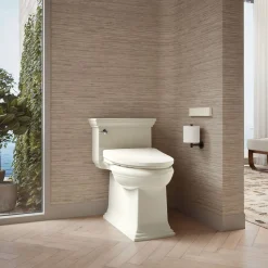 Elongated bidet toilet seat with remote control