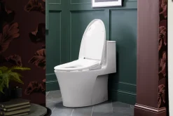 Elongated bidet toilet seat with remote control