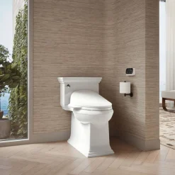 Elongated bidet toilet seat with remote control