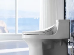 Elongated bidet toilet seat with remote control