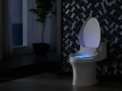 Elongated bidet toilet seat with remote control
