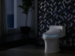 Elongated bidet toilet seat with remote control