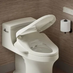 Elongated bidet toilet seat with remote control