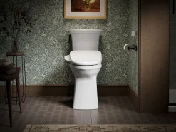 Elongated bidet toilet seat with remote control