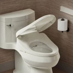 Elongated bidet toilet seat with remote control