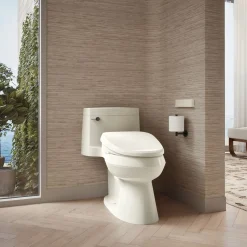Elongated bidet toilet seat with remote control