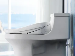 Elongated bidet toilet seat with remote control