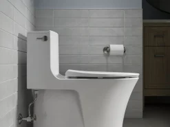 Elongated toilet seat