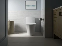 Elongated toilet seat