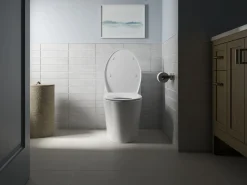 Elongated toilet seat