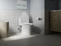 Elongated toilet seat