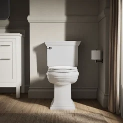 Elongated toilet seat