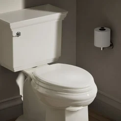 Elongated toilet seat