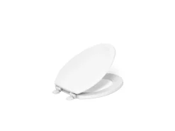 Elongated toilet seat