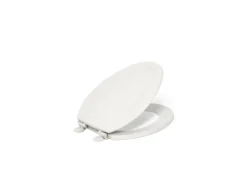 Elongated toilet seat