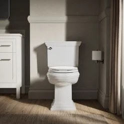 Elongated toilet seat