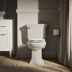 Elongated toilet seat